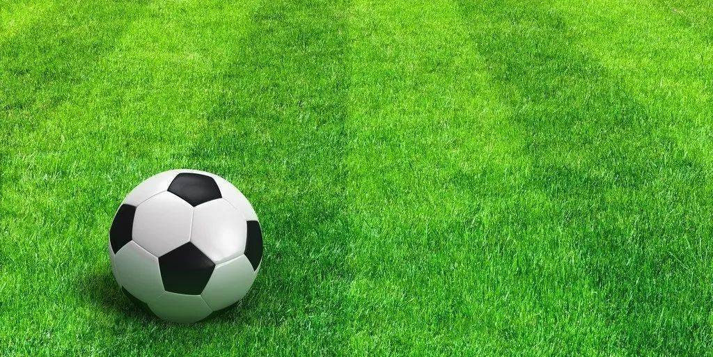 足球预测应用多平台下载